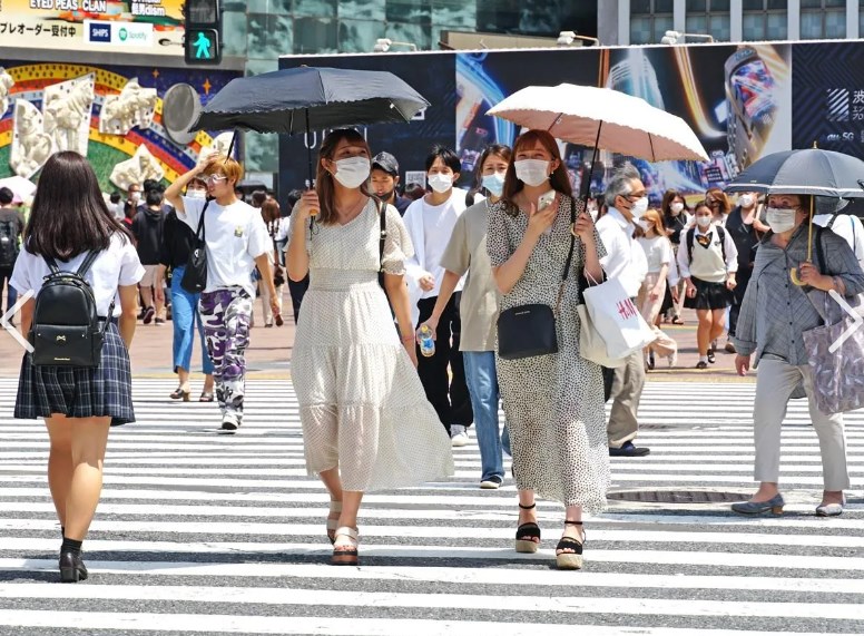 東京28.1度　夏だろこれ